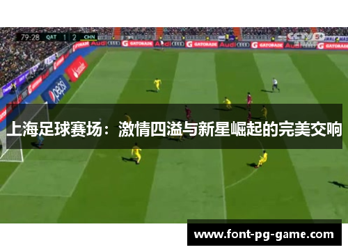 上海足球赛场：激情四溢与新星崛起的完美交响