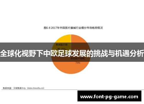 全球化视野下中欧足球发展的挑战与机遇分析