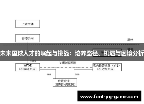 未来国球人才的崛起与挑战：培养路径、机遇与困境分析