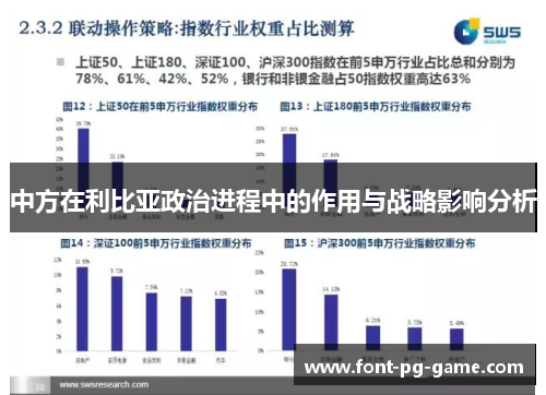 中方在利比亚政治进程中的作用与战略影响分析
