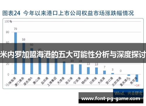 米内罗加盟海港的五大可能性分析与深度探讨